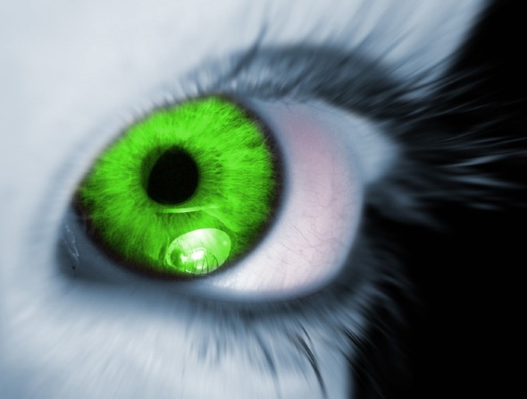 envious green eye